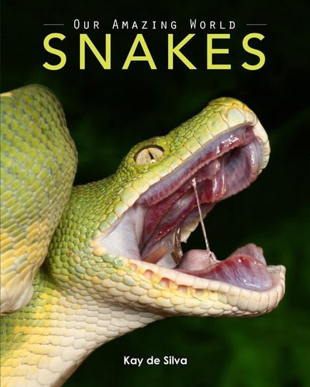 Snakes de Silva Kay