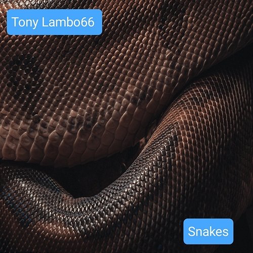 Snakes Tony Lambo66