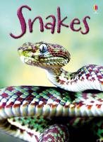 Snakes Maclaine James