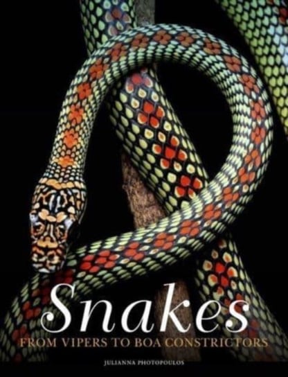 Snakes: From Vipers to Boa Constrictors Julianna Photopoulos