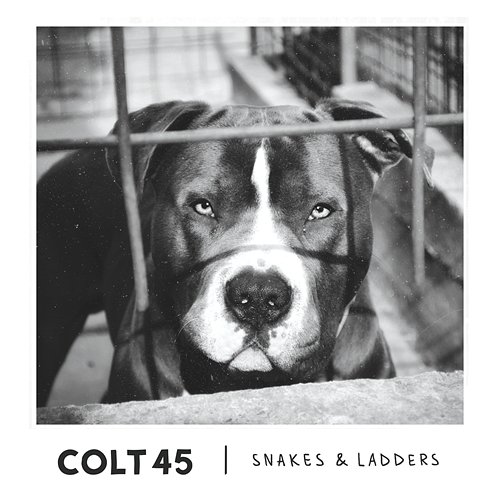 Snakes & Ladders Colt 45