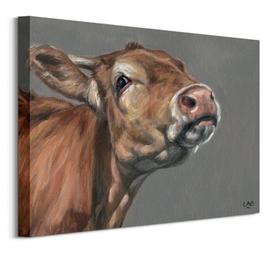 Snooty Cow - obraz na płótnie Pyramid International