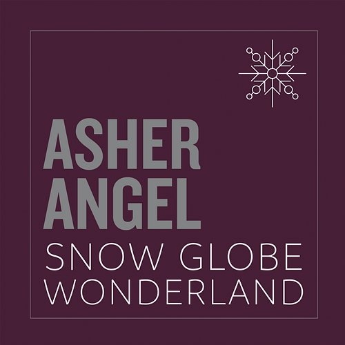 Snow Globe Wonderland Asher Angel