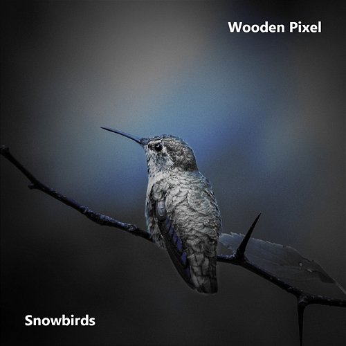 Snowbirds Wooden Pixel