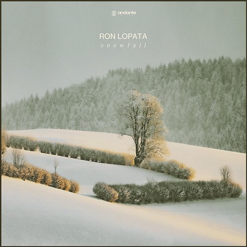 Snowfall Ron Lopata