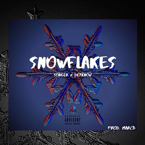 Snowflakes Songer & Daneo