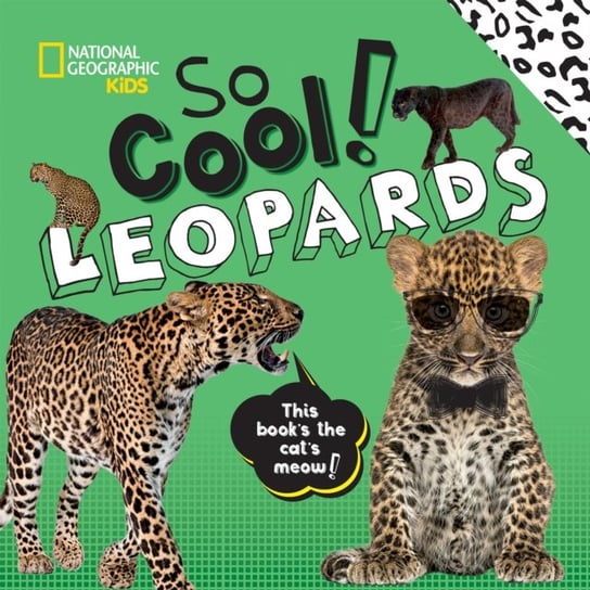 So Cool! Leopards Opracowanie zbiorowe