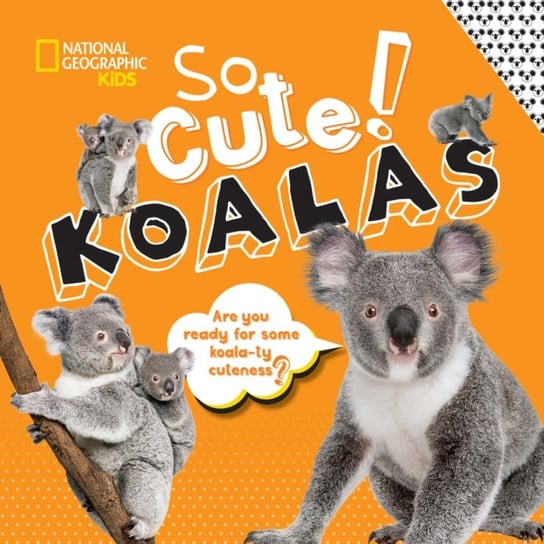 So Cute! Koalas Opracowanie zbiorowe