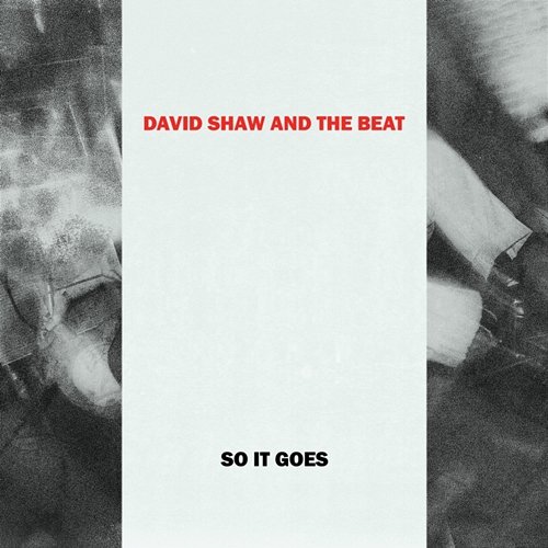 So It Goes David Shaw, The Beat