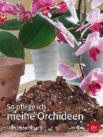So pflege ich meine Orchideen Pinske Jorn