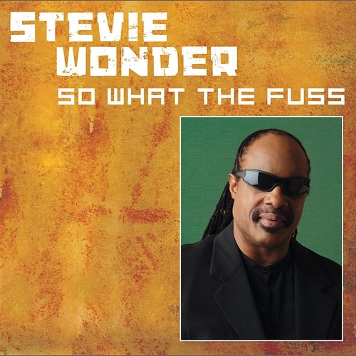 So What The Fuss Stevie Wonder