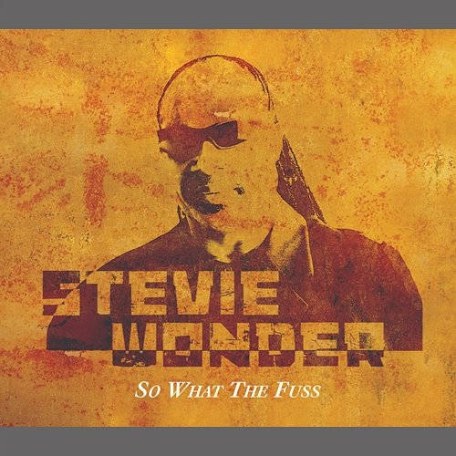 So What The Fuss Stevie Wonder