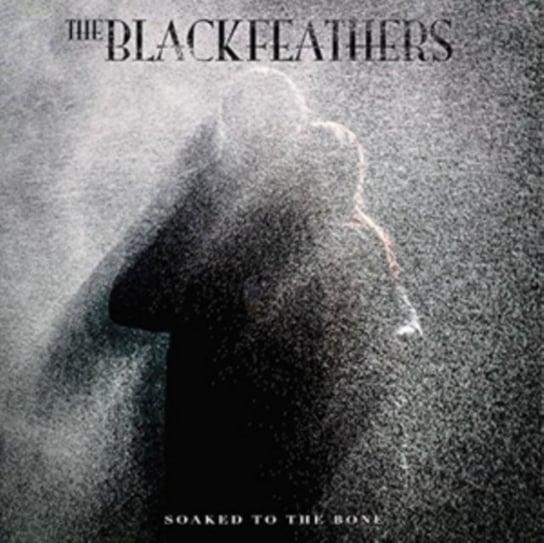 Soaked to the Bone The Black Feathers
