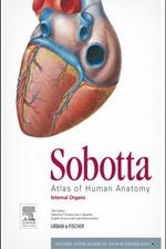 Sobotta Atlas of Human Anatomy, Vol. 2, 15th ed., English Waschke Jens