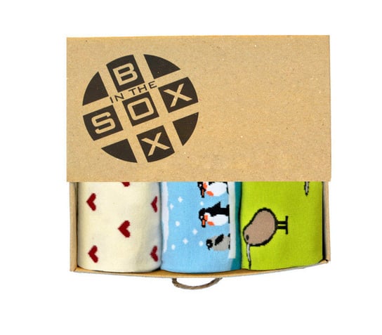 Socks in the Box, skarpety męskie, Box dla Ornitologa, rozmiar 39/42 Socks in the Box
