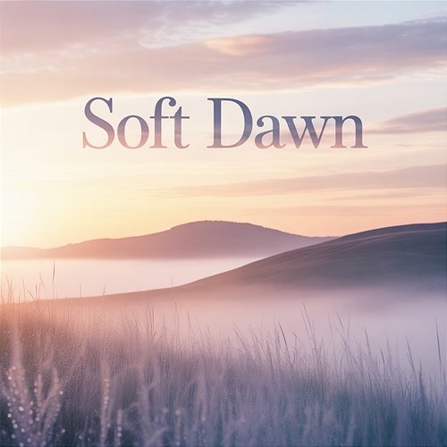 Soft Dawn Quiet Mode