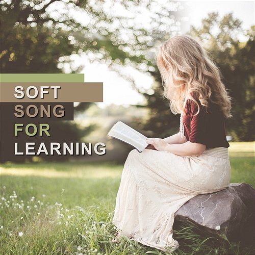 Soft Song for Learning: Concentration Music for Studying, Focus and Improve Memory, Study Exam Brain Stimulation Music Collective