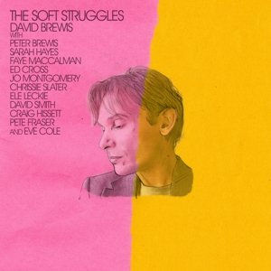 Soft Struggles Brewis David