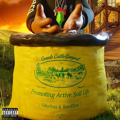 Soil Anwar Carrots