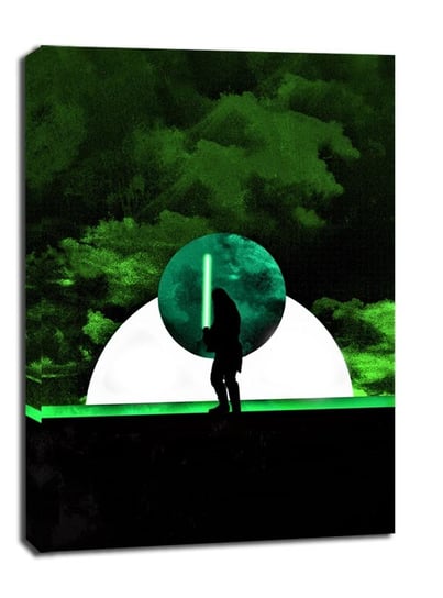 Sol Lunaris - Qui-Gon Jinn, Gwiezdne Wojny Star Wars - obraz na płótnie 60x80 cm Galeria Plakatu