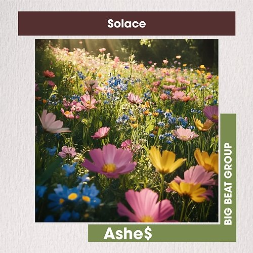 Solace Ashe$