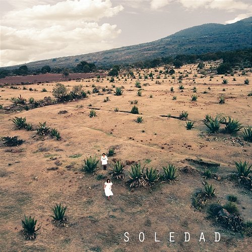 Soledad Flor De Toloache