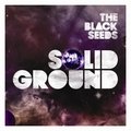 Solid Ground The Black Seeds