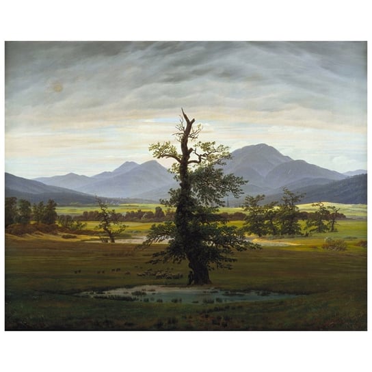 Solitary Tree - Caspar David Friedrich 50x60 Legendarte