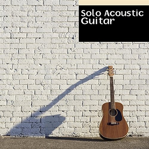 Solo Acoustic Guitar Instrumental Society