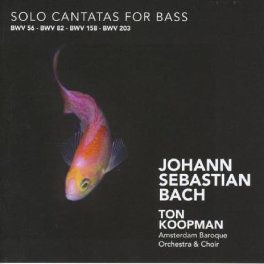 Solo Cantatas for Bass Various Artists