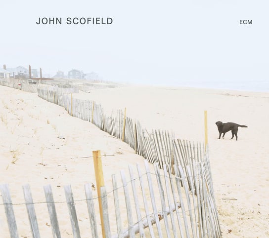 Solo, płyta winylowa Scofield John