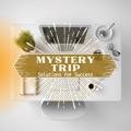 Solutions for Success Mystery Trip