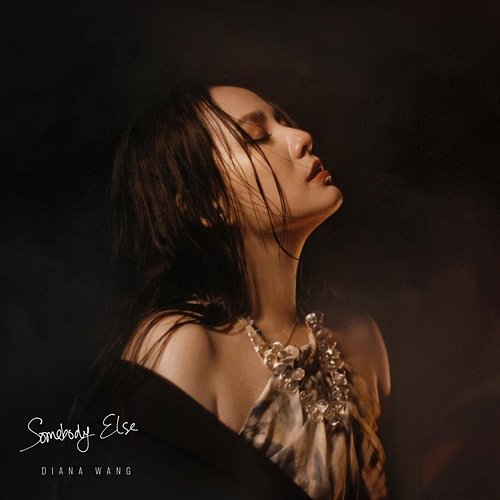 Somebody Else DIANA WANG