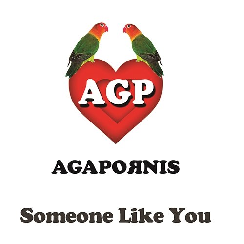 Someone Like You Agapornis