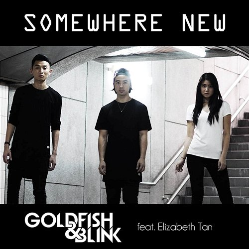 Somewhere New Goldfish & Blink