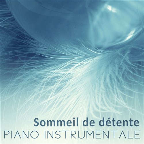 Sommeil de détente - Piano instrumentale, Endormissement rapide, La musique essentielle avant dormir, Relax, Calme et détente Instrumental Piano Zone