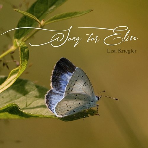 Song for Elise Lisa Kriegler