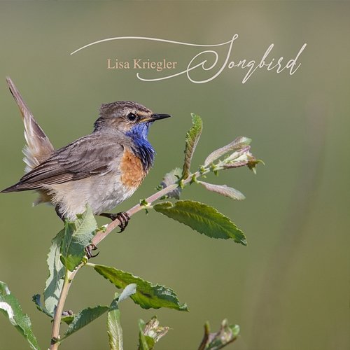 Songbird Lisa Kriegler