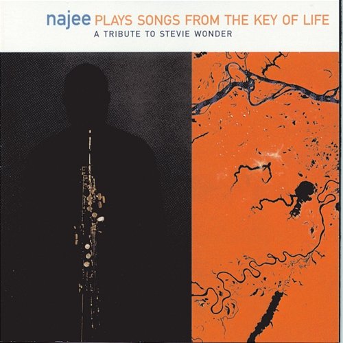Songs From The Key Of Life: A Tribute To Stevie Wonder Najee