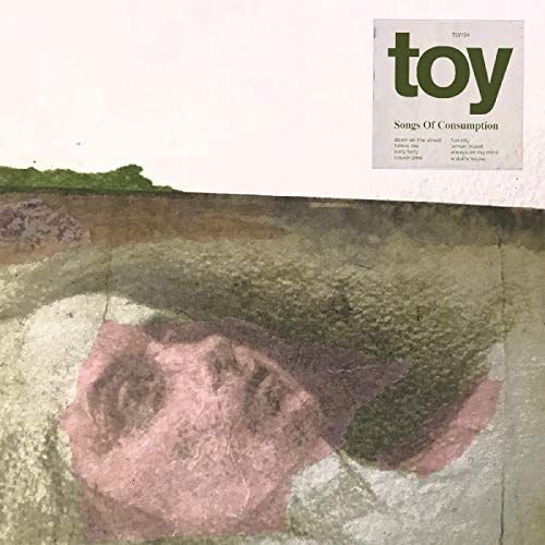 Songs Of Consumption, płyta winylowa Toy