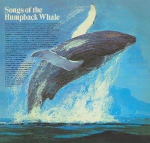 Songs of the Humpback Wha Various Artists