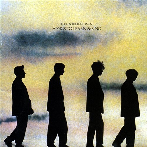 Songs to Learn & Sing Echo And The Bunnymen