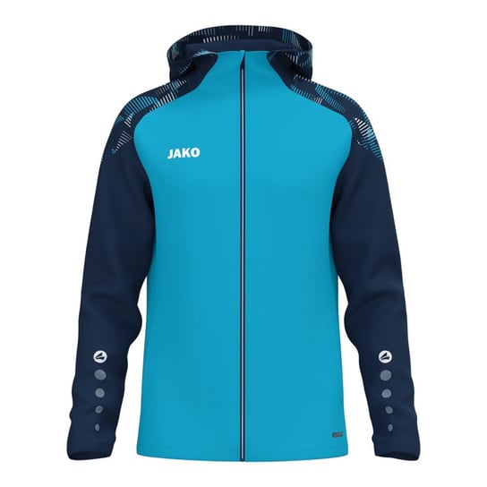 Sonic Jako