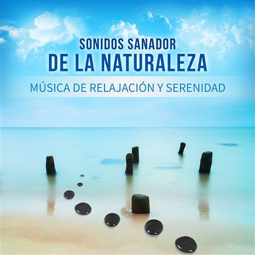 Sonidos Sanador de la Naturaleza - Música de Relajación y Serenidad, Relajante Zen para Pensamiento Positivo, Meditación, Música Instrumental para Dormir Profundamente Técnicas de Meditación Academia