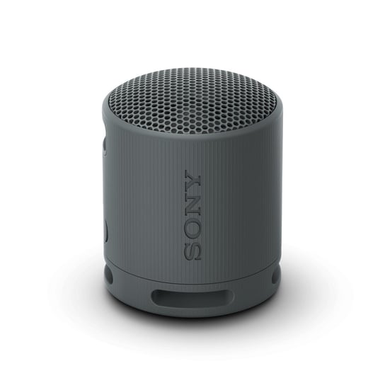Sony SRS-XB100 bezprzewodowy głośnik Bluetooth, przenośny, czarny Sony