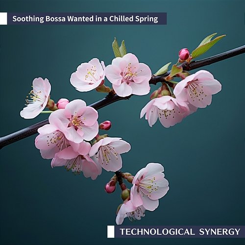 Soothing Bossa Wanted in a Chilled Spring Technological Synergy