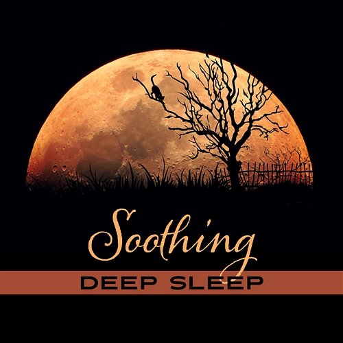Soothing Deep Sleep: The Best Music Collection, Relaxation, Natural Cure for Insomnia, Relaxing Piano to Fall Asleep Deep Sleep Relaxation Universe