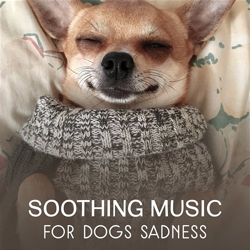 Soothing Music for Dogs Sadness – Calming Moment for Nervous Pets, Sleepy Sounds to Relax Your Animal, Dogs & Cats Happiness Various Artists