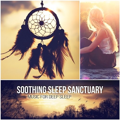 Soothing Sleep Sanctuary: Dreaming and Sleep Deeply, Quiet Music to Help You Relax and Calm Your Mind, Natural Hypnosis Various Artists