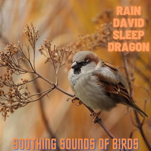 Soothing Sounds of Birds Rain David Sleep Dragon